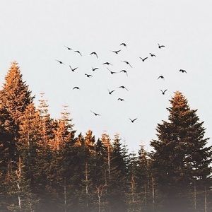 Meet your Posher, Tammi